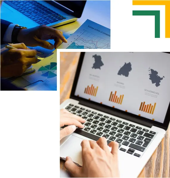 INSTITUTO BRASILEIRO DE OPINIÃO, COLETA E ANÁLISES